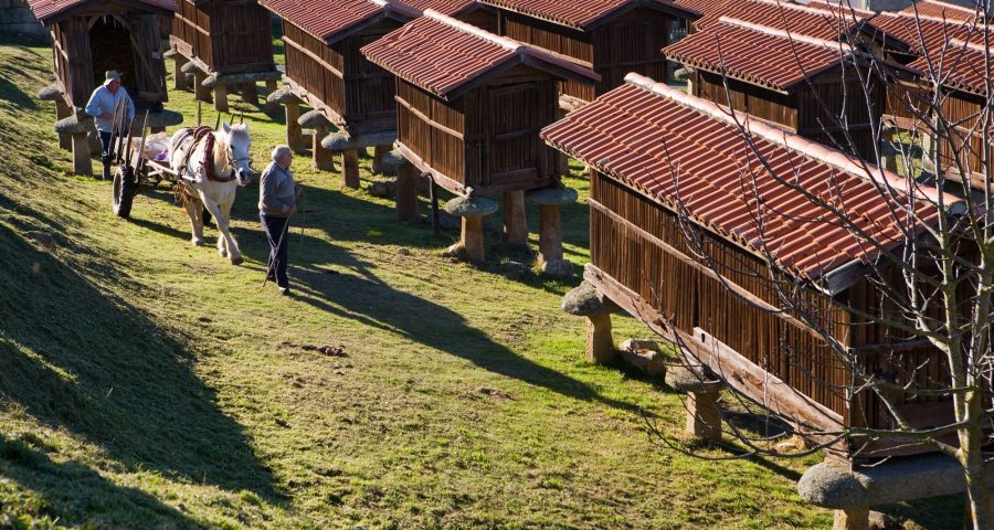 Hórreo Guíate Galicia