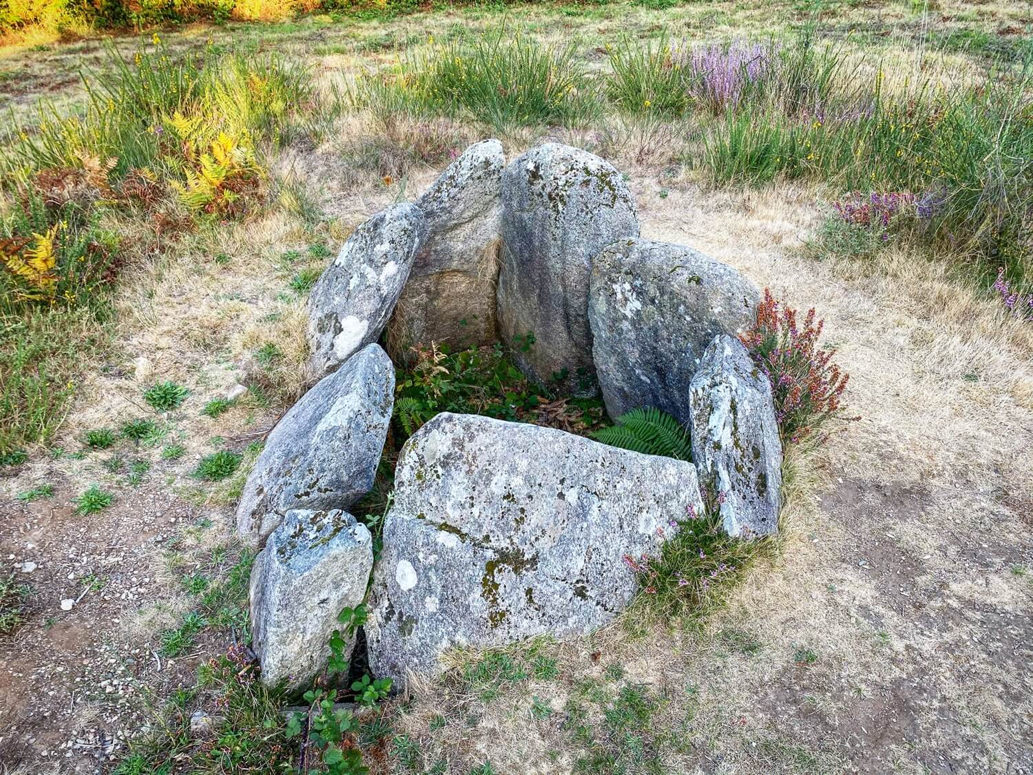 Arte Rupestre Terras de Pontevedra Guíate Galicia