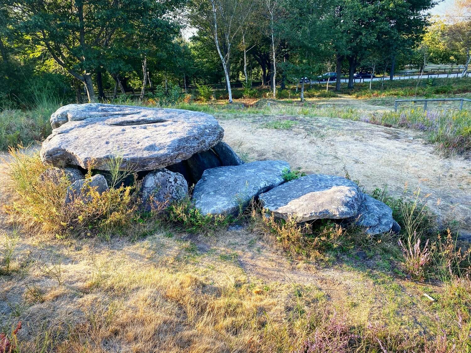 Arte Rupestre Terras de Pontevedra Guíate Galicia