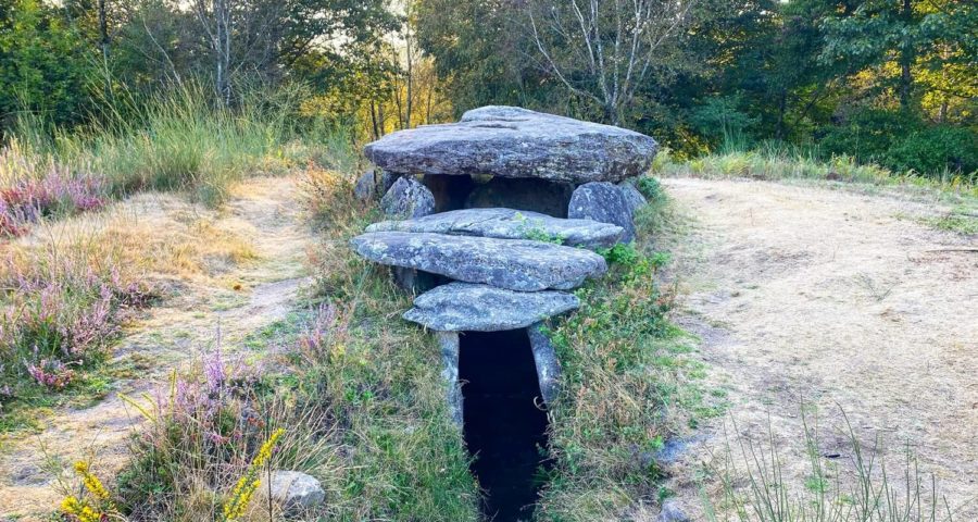 Recorrido De Arte Rupestre Por Las Rías Baixas