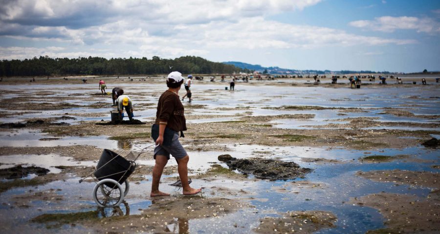 Turismo Marinero: Pueblos, Puertos Y Mar