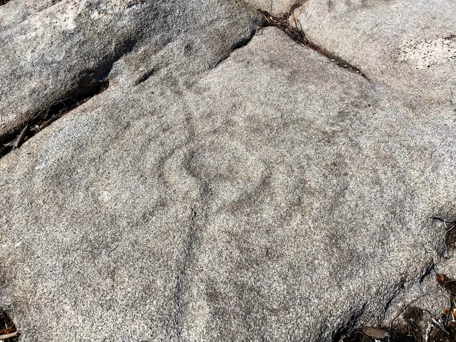 Petroglifo da Güiela, Calvelo Guíate Galicia