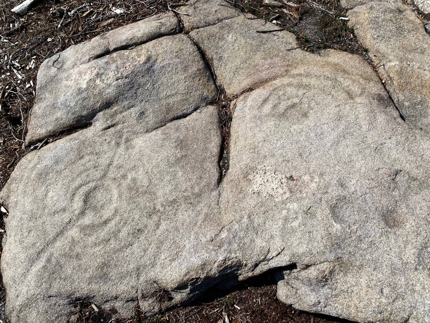 Petroglifo da Güiela, Calvelo Guíate Galicia