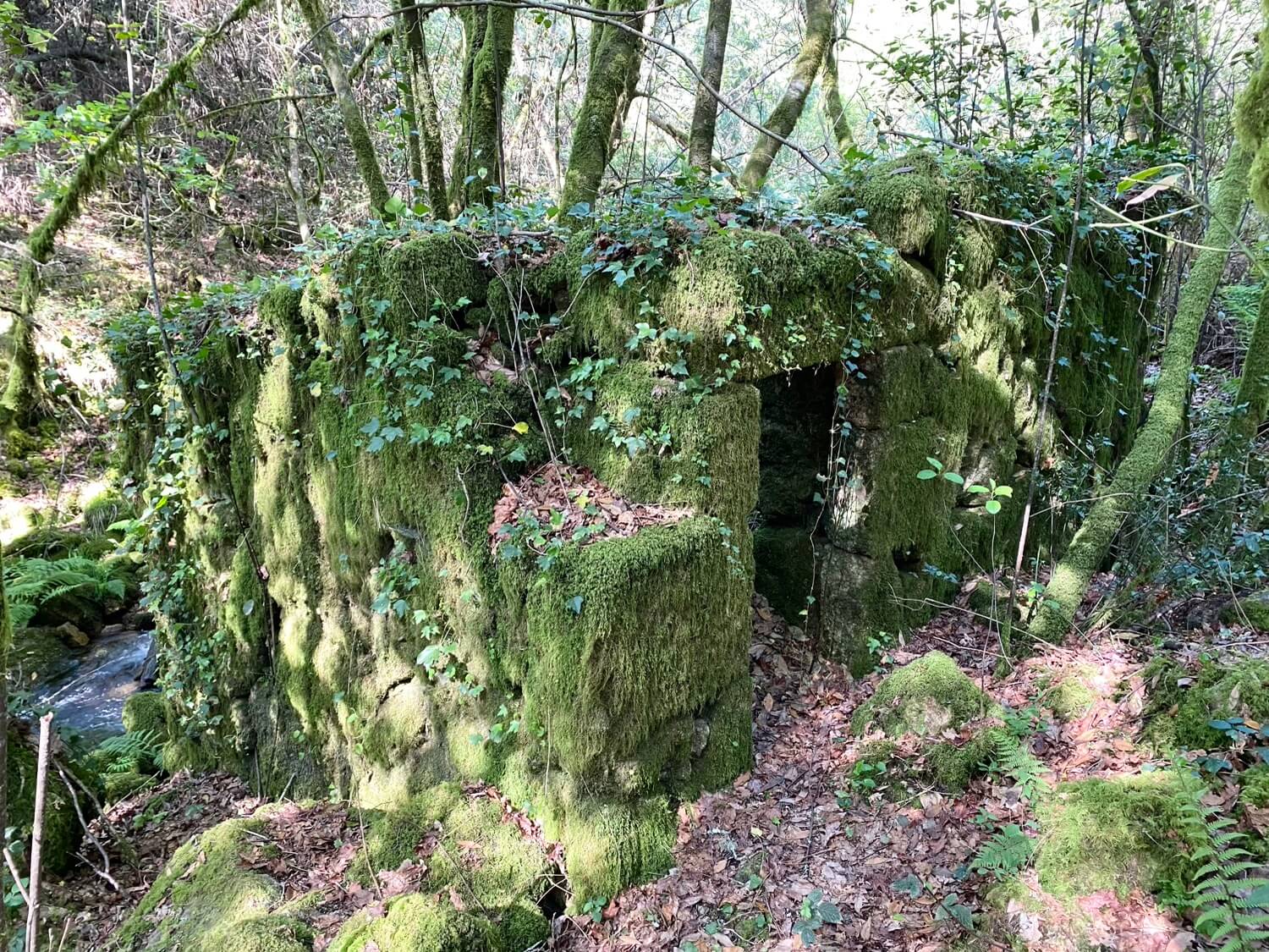 Regueiro e Muíños da Esquipa, Calvelo Guíate Galicia