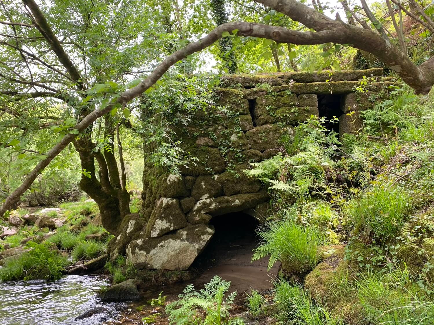 Puente Colgante de Calvelo Guíate Galicia