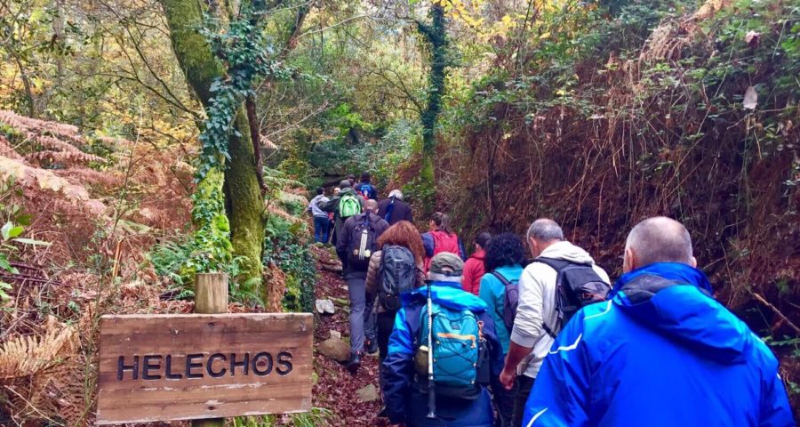 Ruta De La Memoria Del Lobo Guíate Galicia