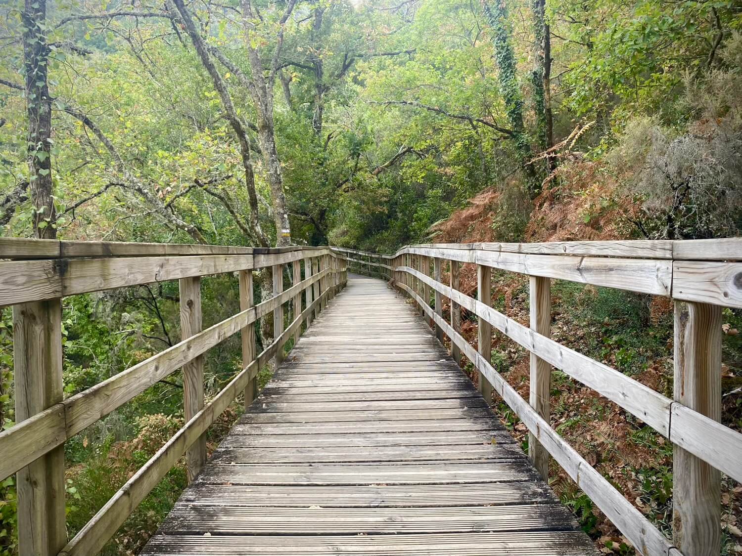 Pasarelas Río Mao Guíate Galicia