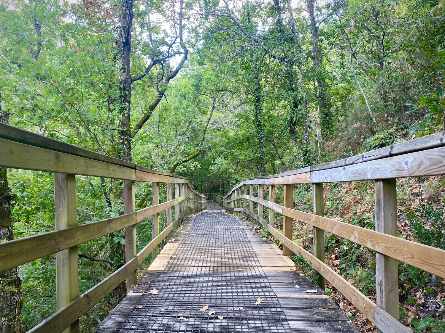 Pasarelas Río Mao Guíate Galicia