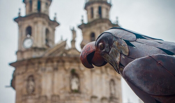 Loro Ravachol Guíate Galicia