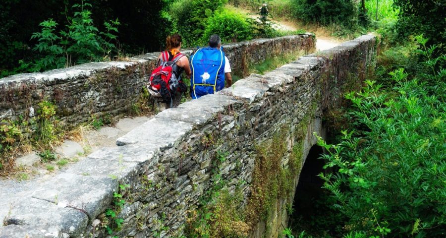 Guías Turísticos Acompañantes Guíate Galicia