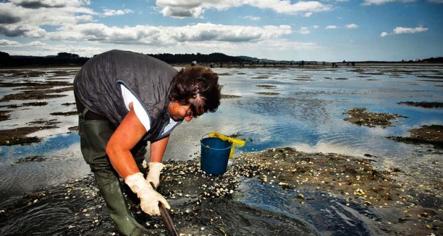 Paseos Por Las Rías Baixas