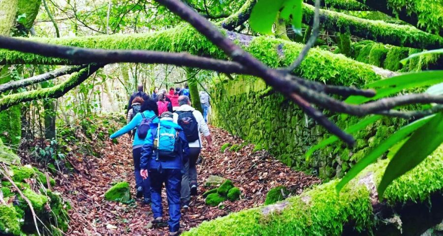 Ruta Foxo Do Lobo Cotobade Guíate Galicia