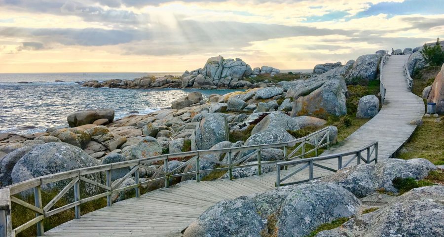 10 Visitas únicas En Galicia