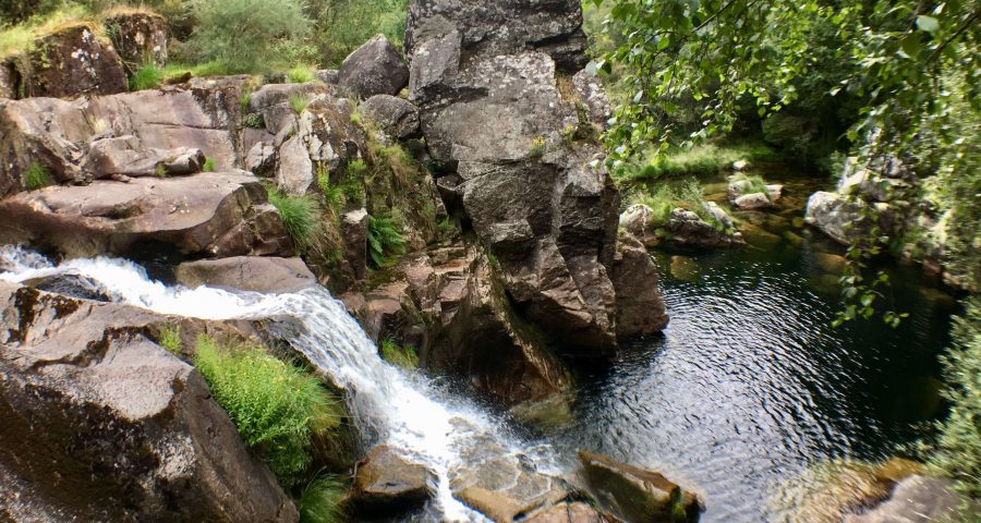 La Cascada De Firveda, A Lama