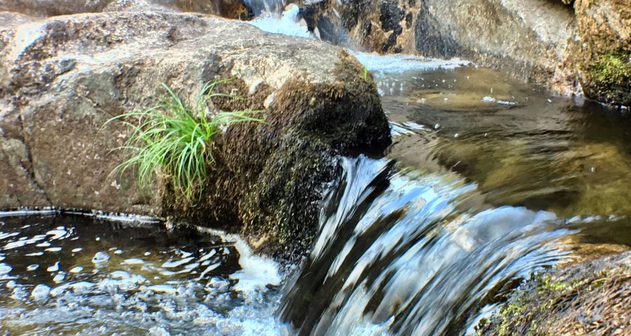 Las Pozas Del Río Almofrei