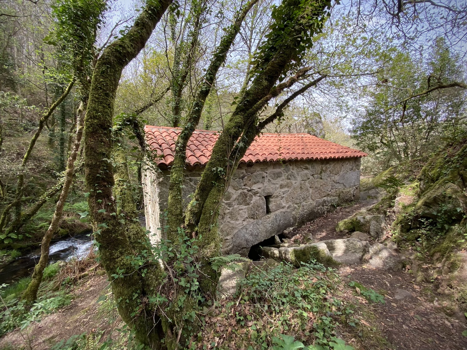 Cascada Raxoi Molinos Parafita Guíate Galicia