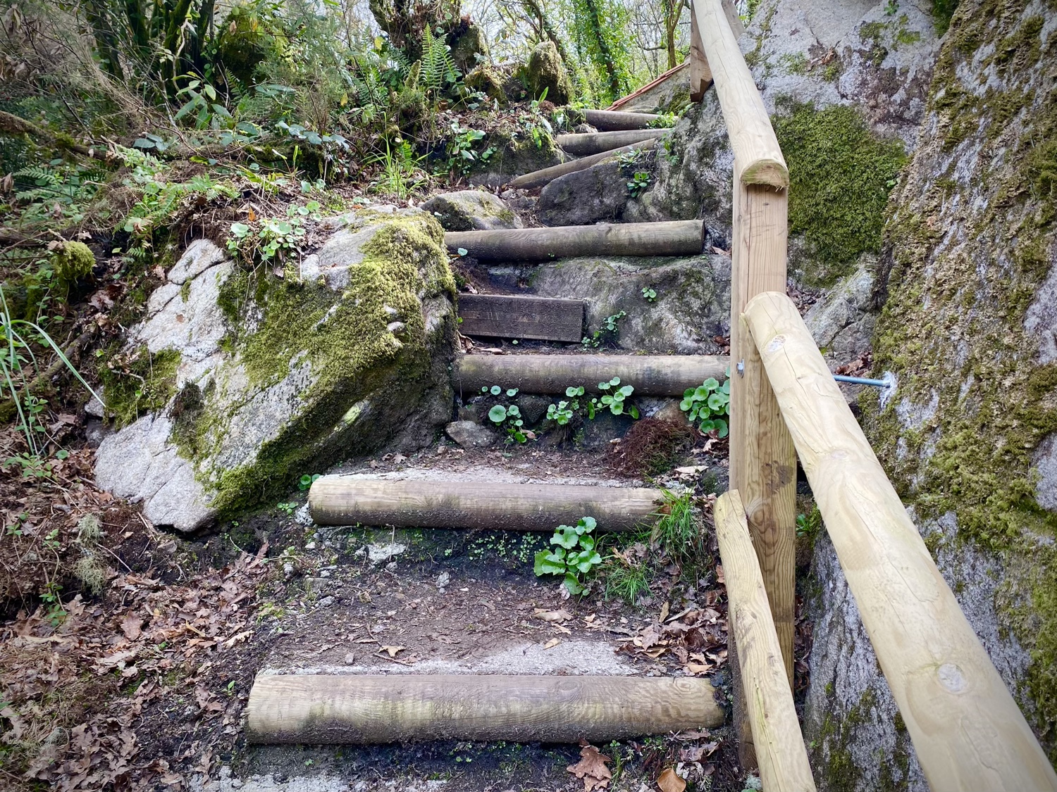 Cascada Raxoi Molinos Parafita Guíate Galicia