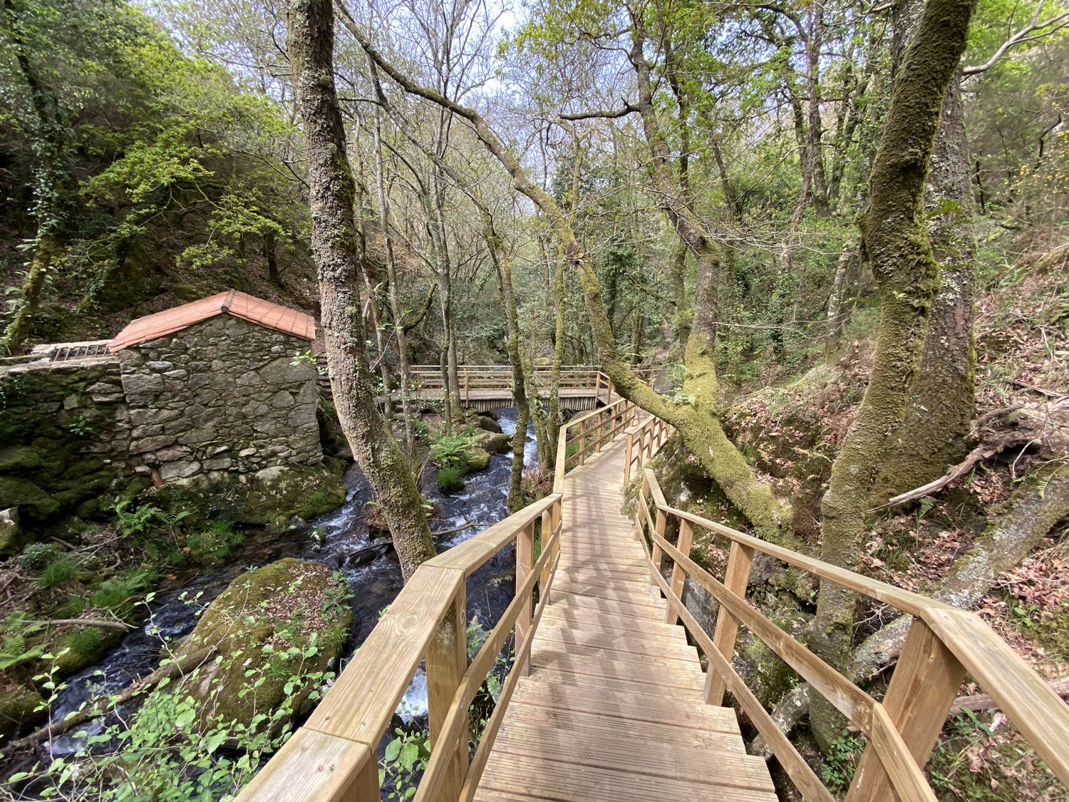 Cascada Raxoi Molinos Parafita Guíate Galicia
