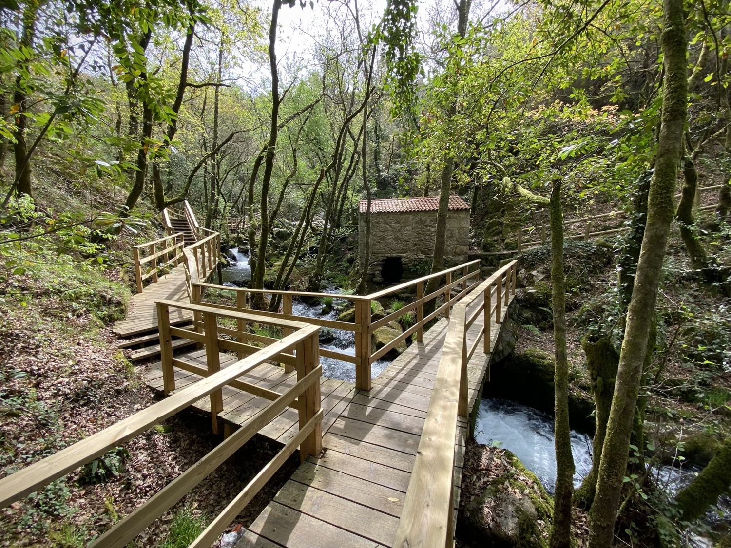 Cascada Raxoi Molinos Parafita Guíate Galicia