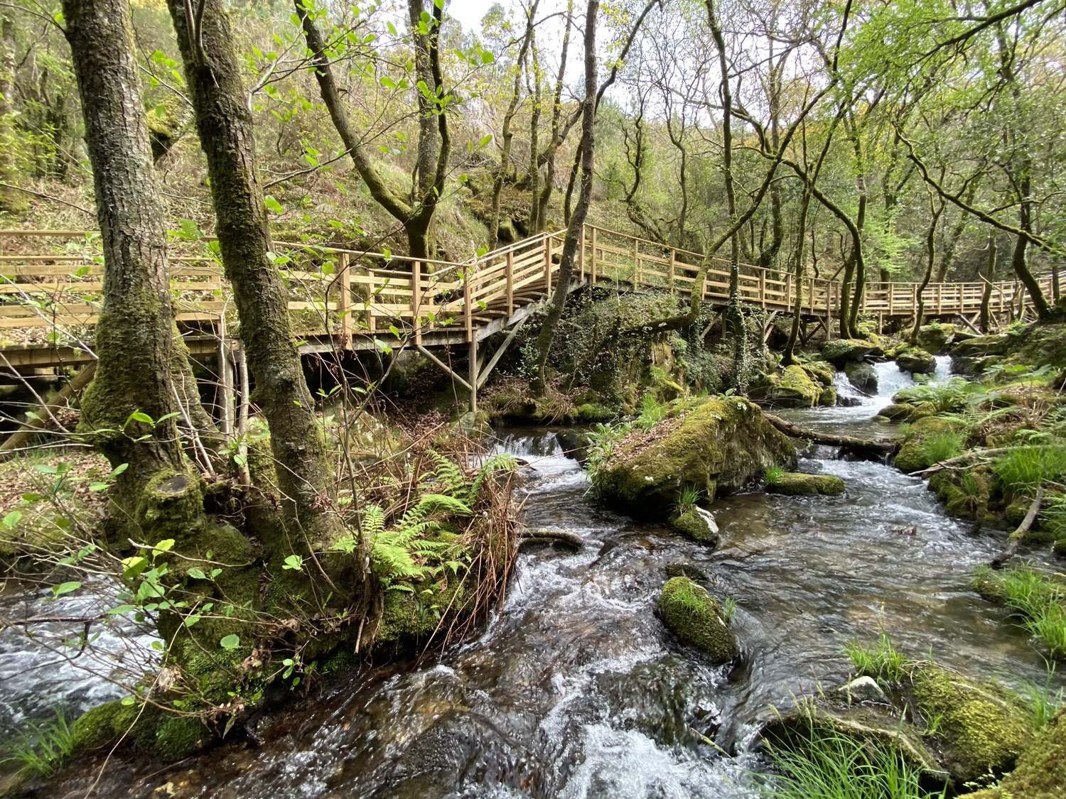 Cascada Raxoi Molinos Parafita Guíate Galicia