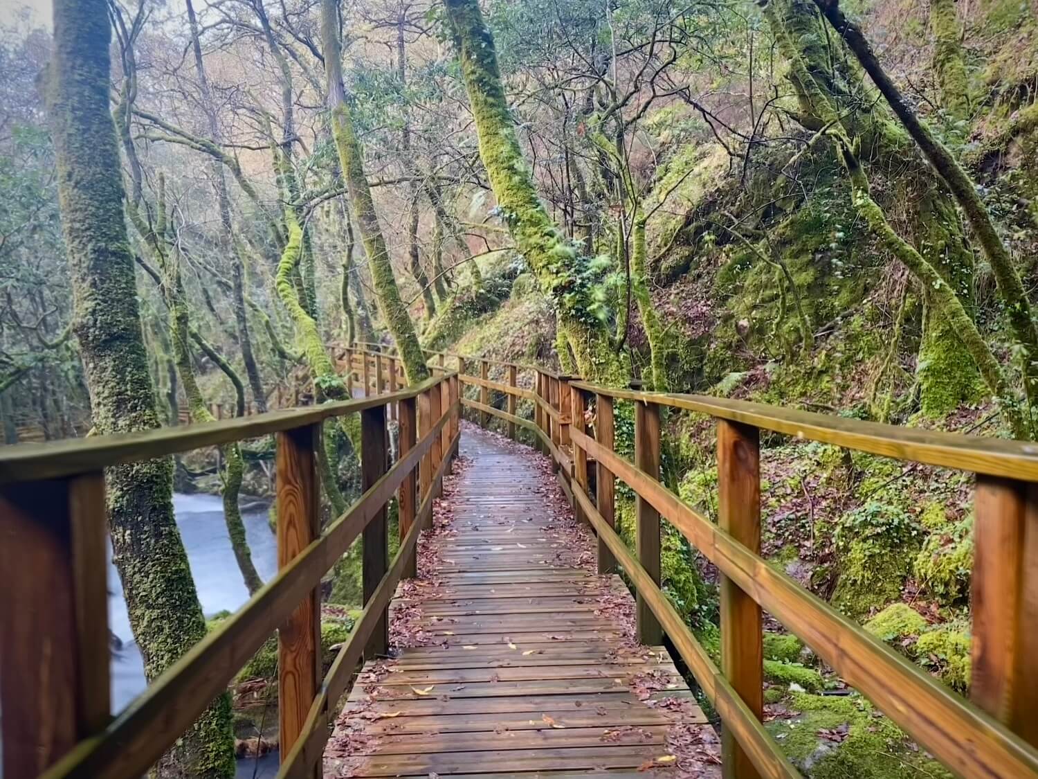 Cascada Raxoi Molinos Parafita Guíate Galiciav