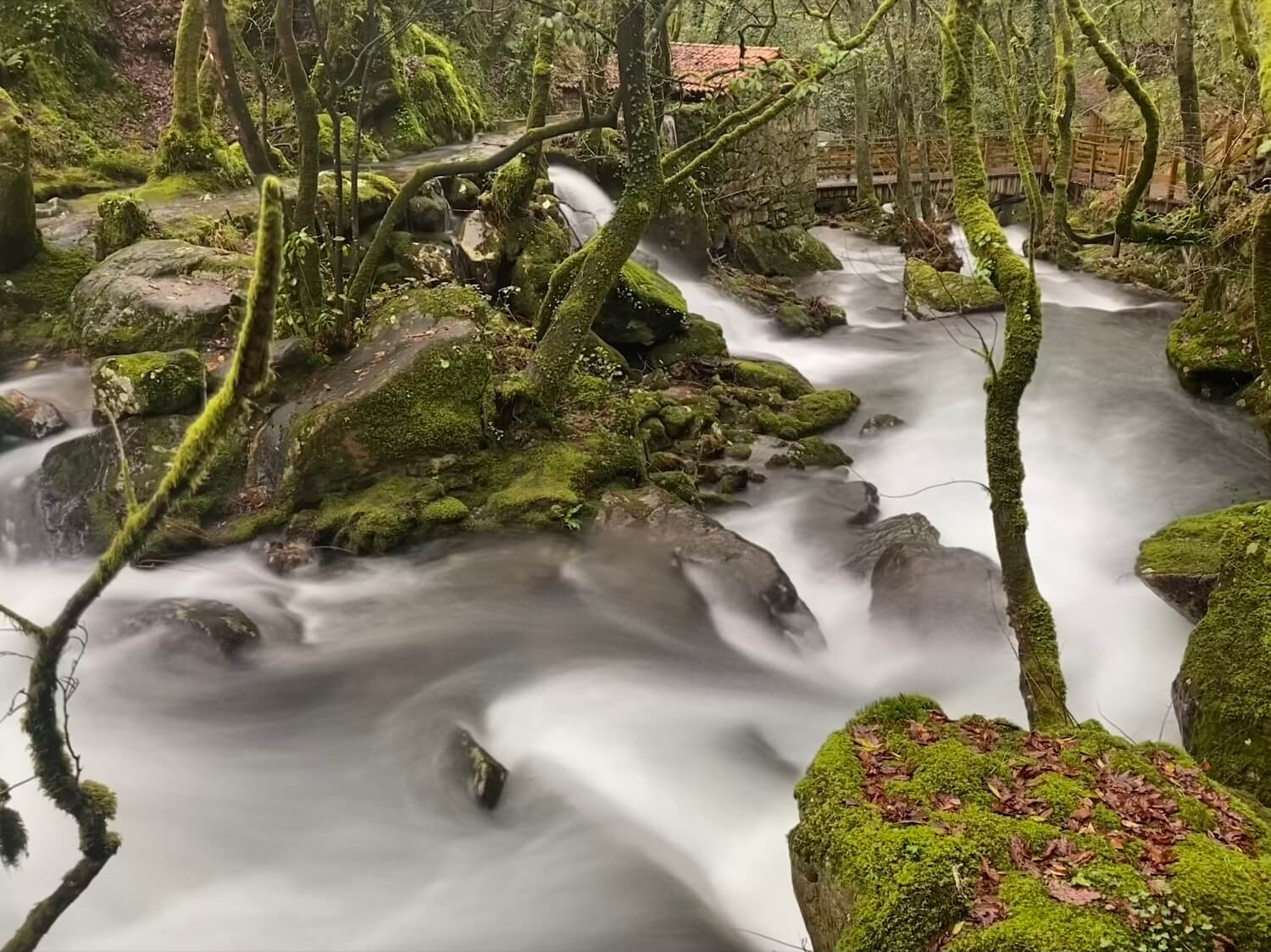 Cascada Raxoi Molinos Parafita Guíate Galicia