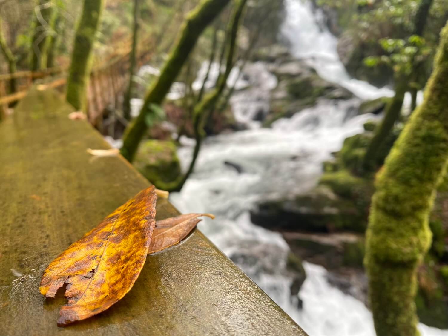 Cascada Raxoi Molinos Parafita Guíate Galicia