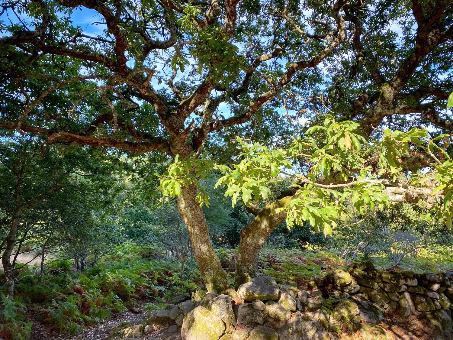 Cabo Home Guíate Galicia