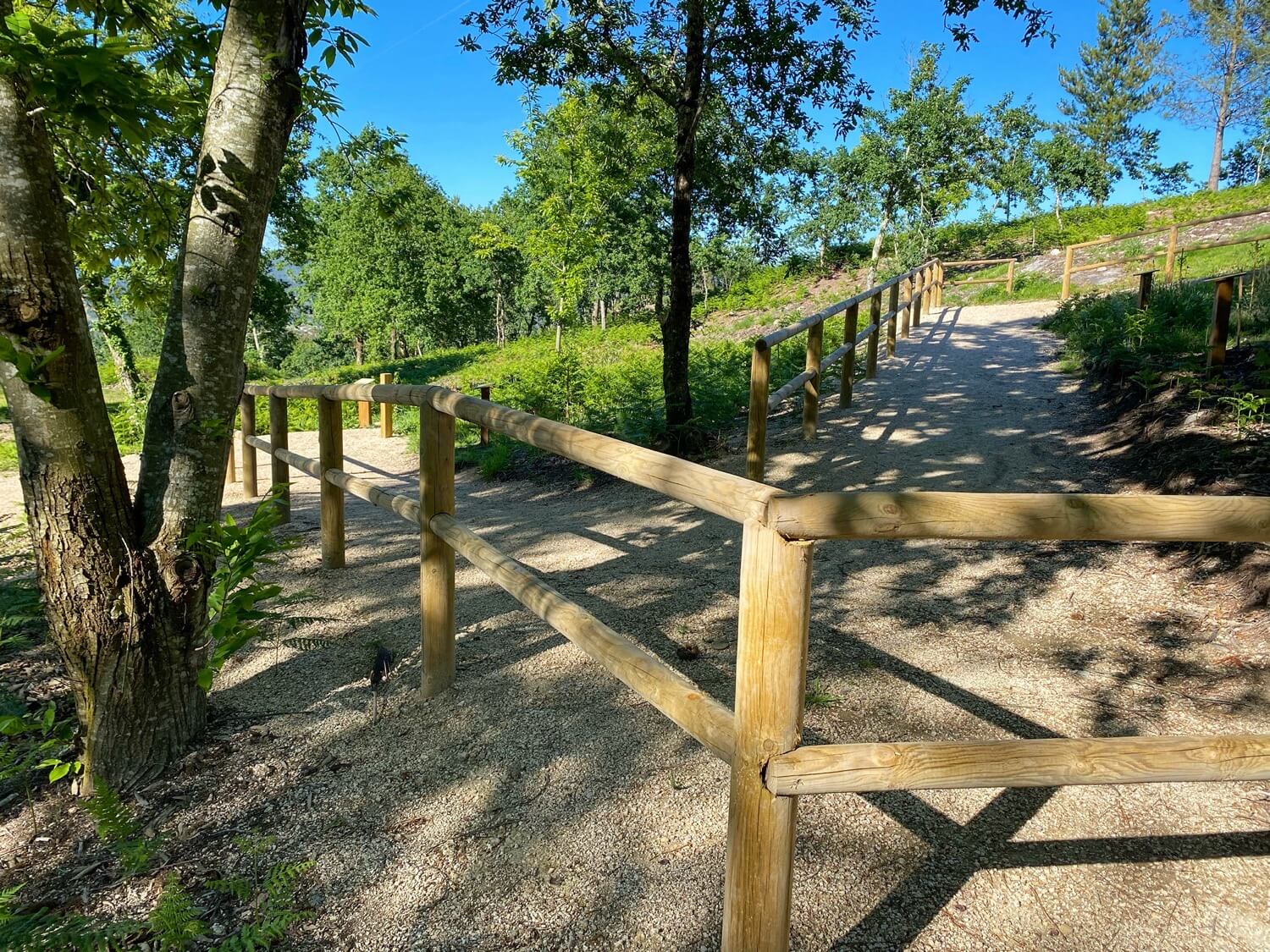 Parque Forestal da Tomba Guíate Galicia