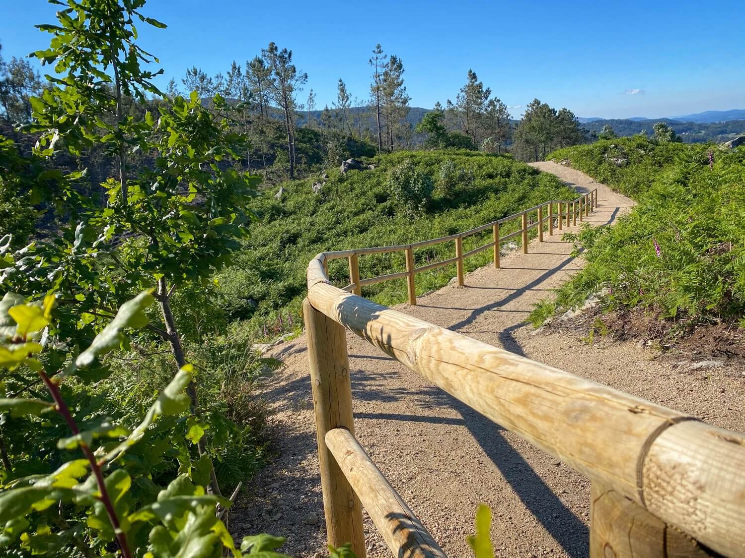 Parque Forestal da Tomba Guíate Galicia