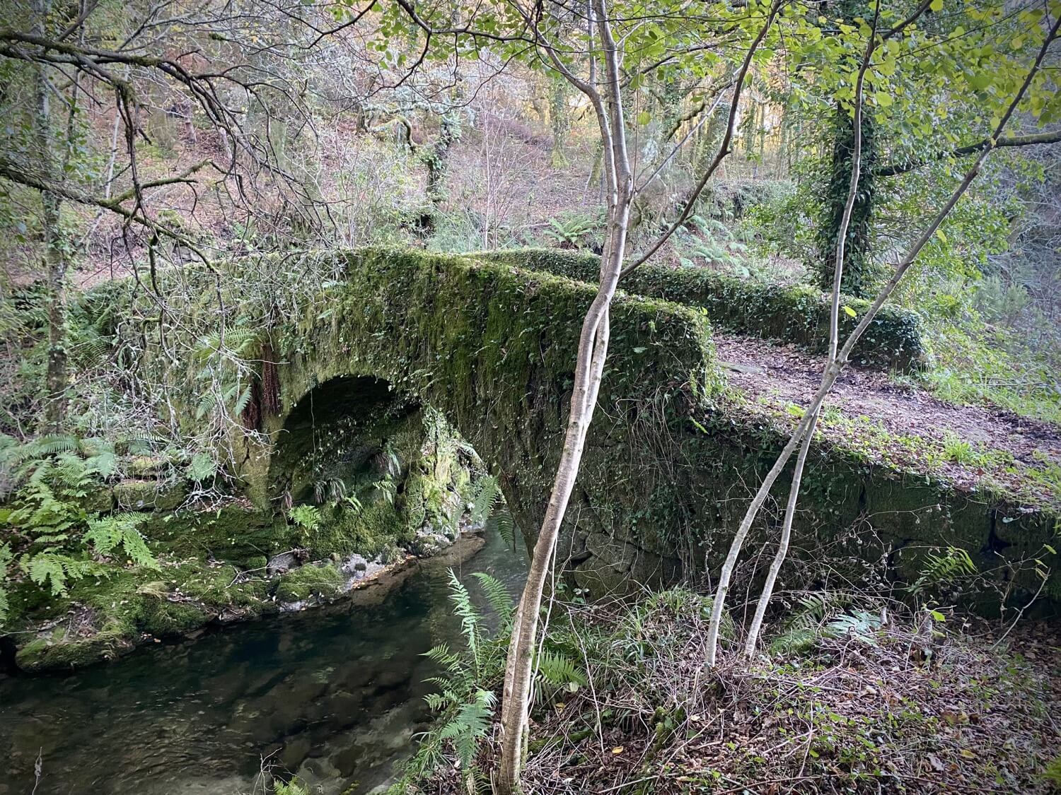 Puentes Singulares Cerdedo-Cotobade Guíate Galicia