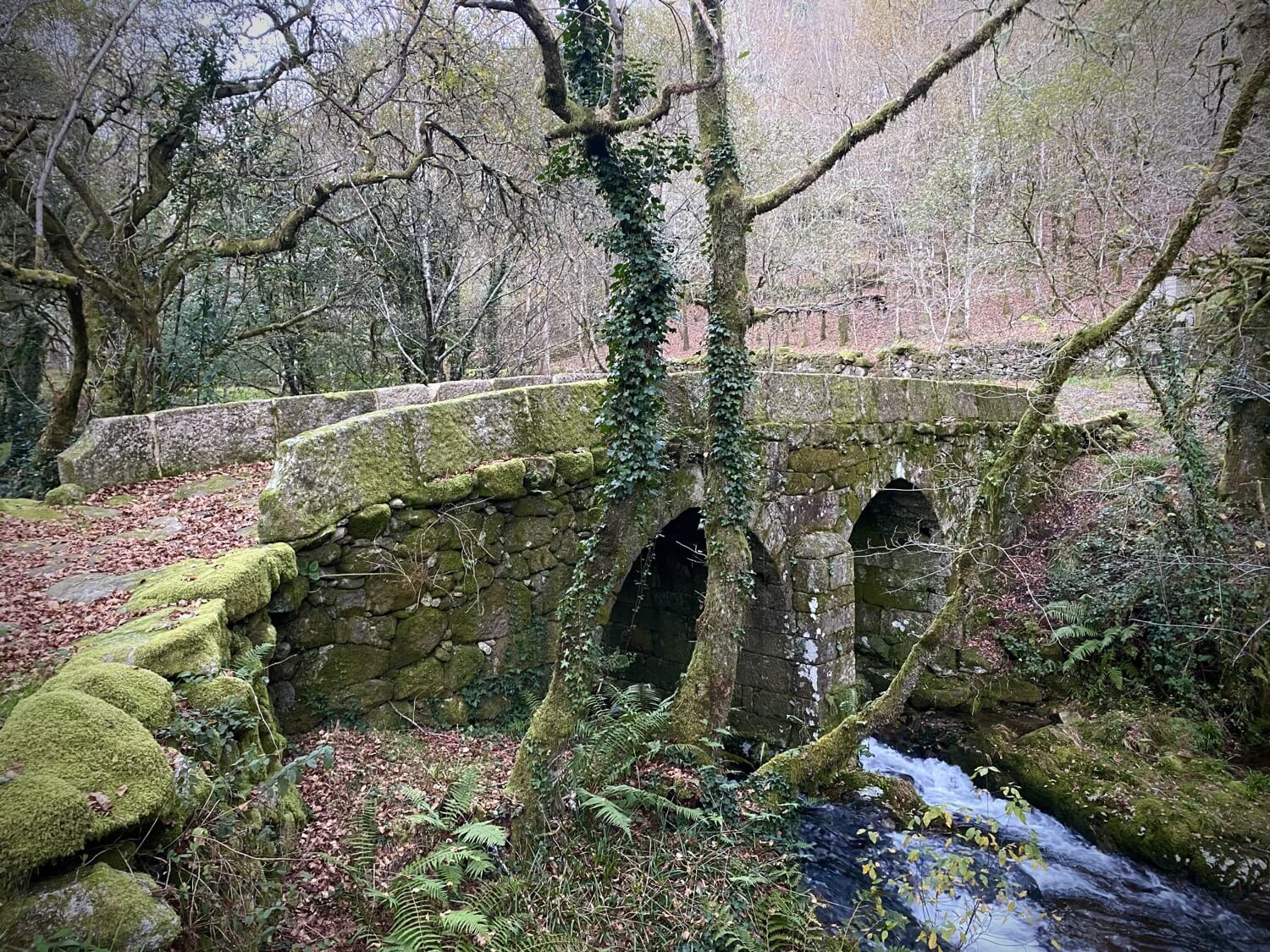 Puentes Singulares Cerdedo-Cotobade Guíate Galicia