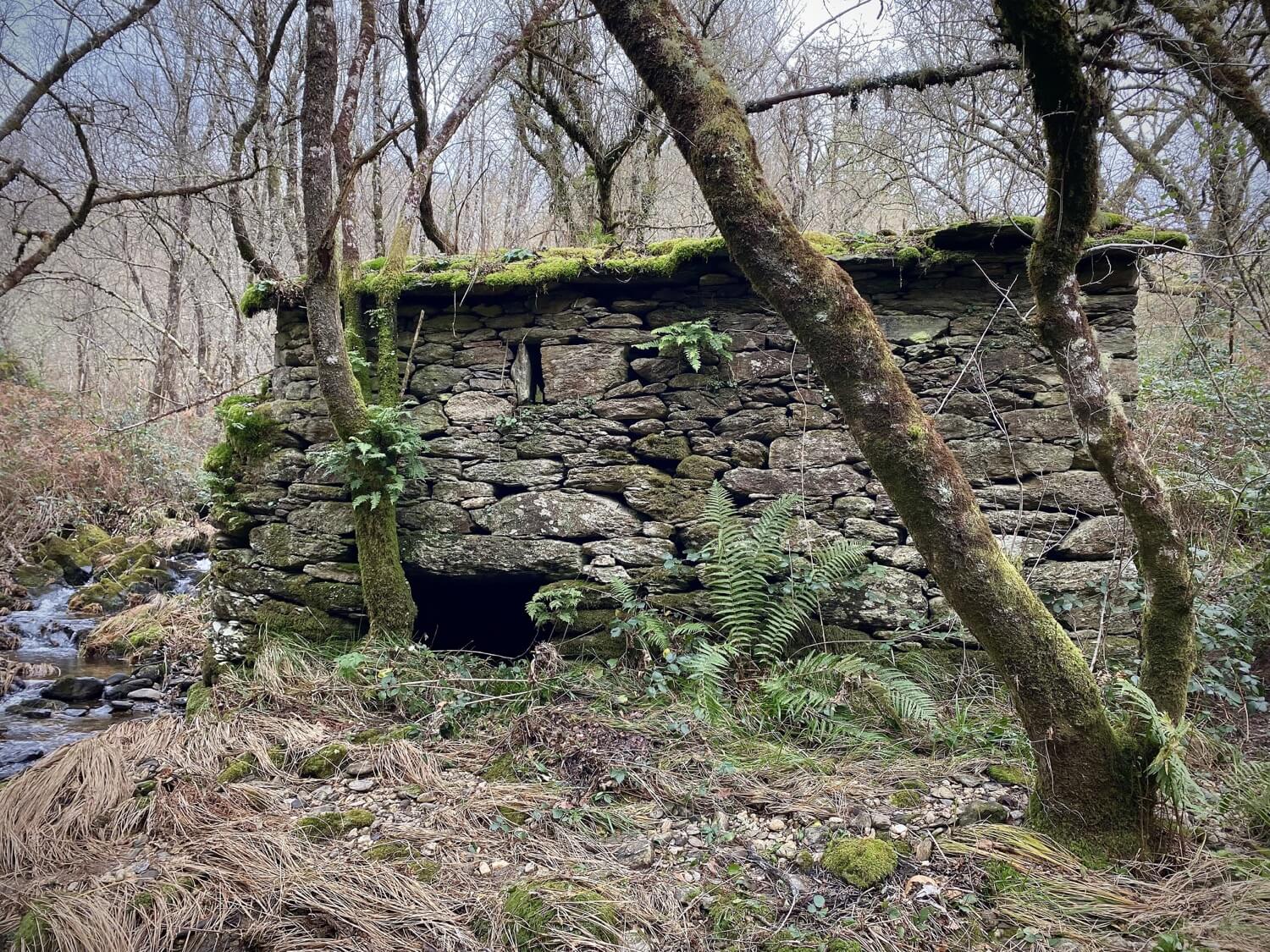 Puentes Singulares Cerdedo-Cotobade Guíate Galicia