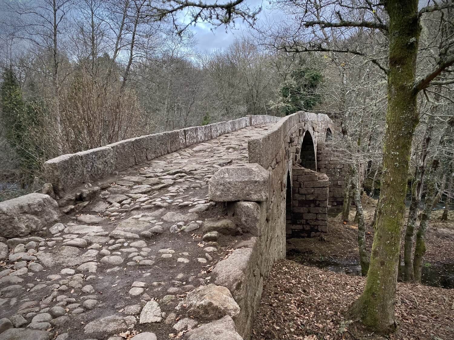 Puentes Singulares Cerdedo-Cotobade Guíate Galicia