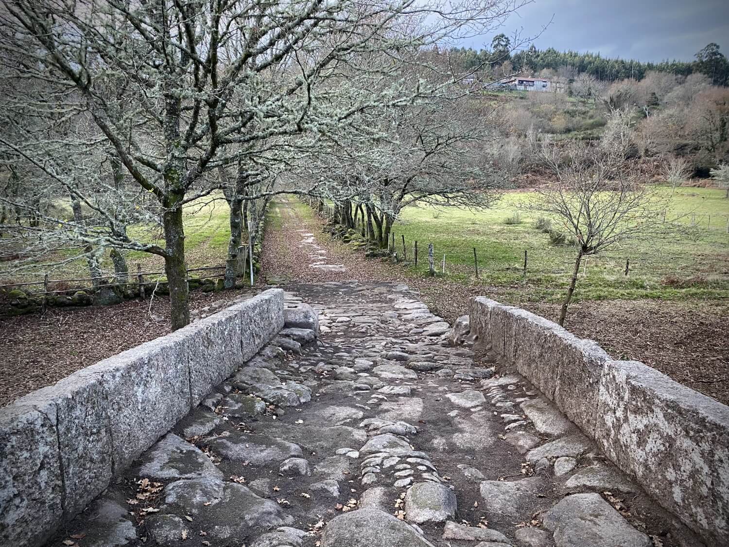 Puentes Singulares Cerdedo-Cotobade Guíate Galicia4