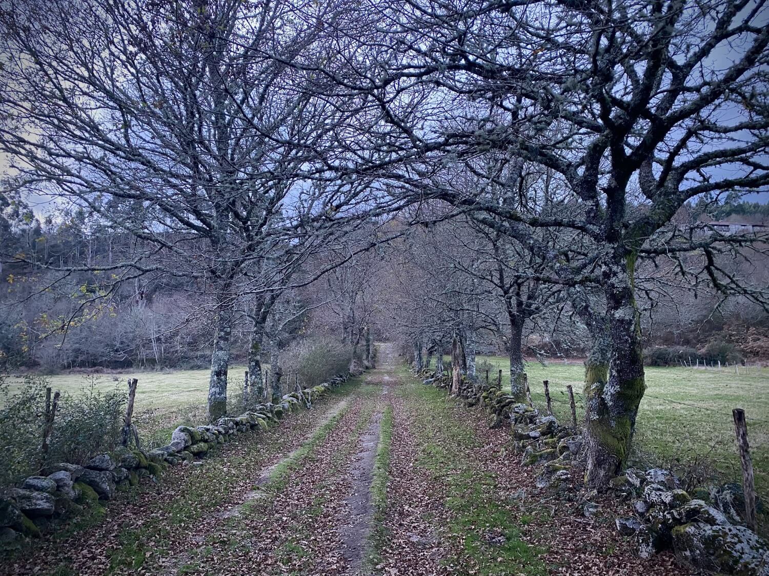 Puentes Singulares Cerdedo-Cotobade Guíate Galicia