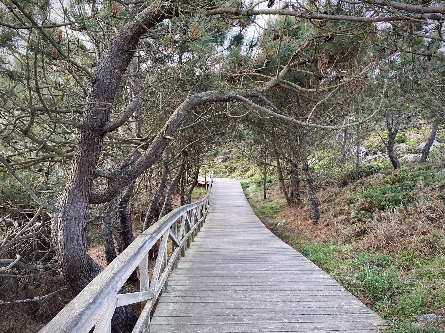 Pasarelas Pedras Negras Guíate Galicia