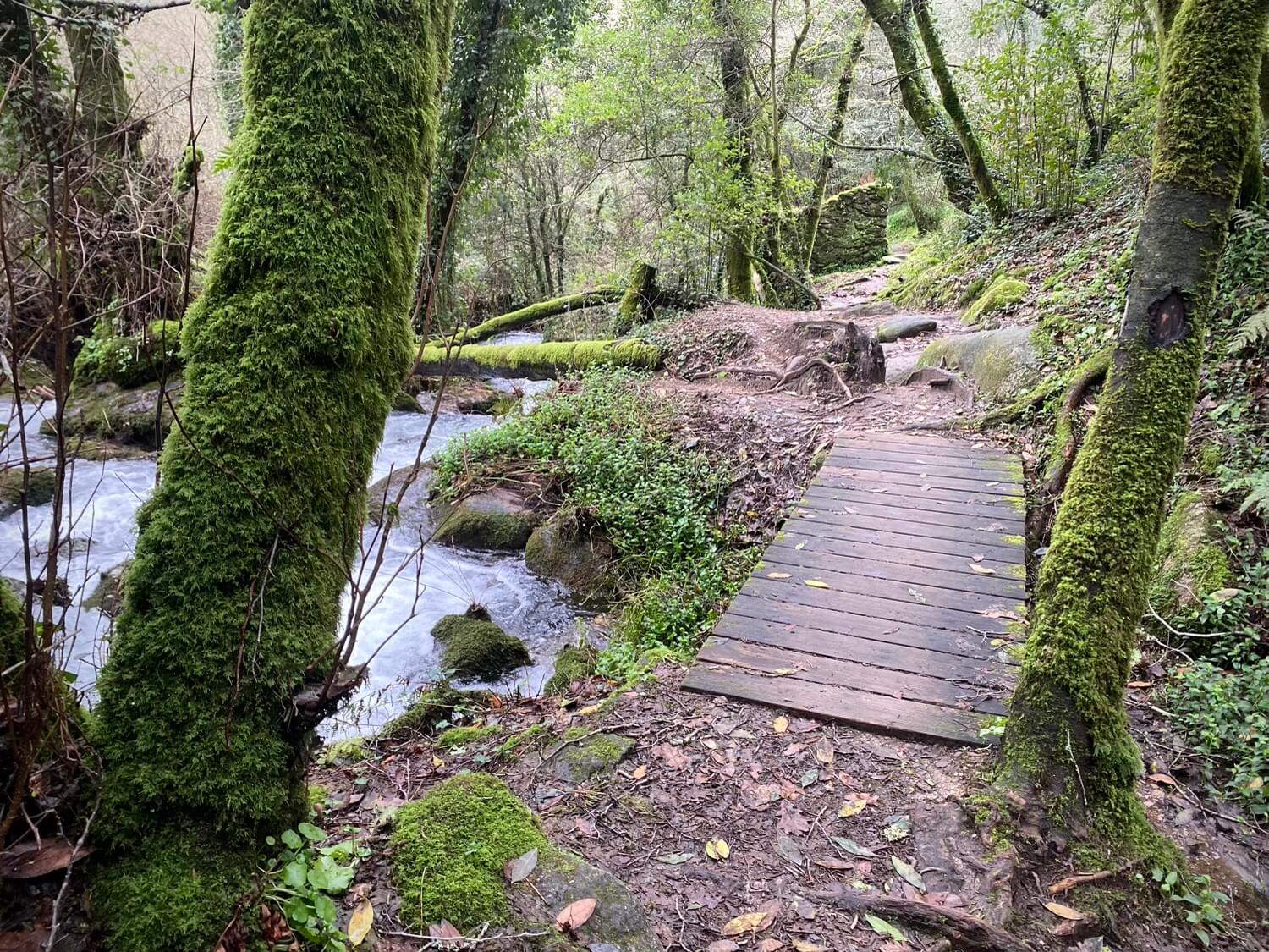 Ruta da Pedra e da Auga Guíate Galicia