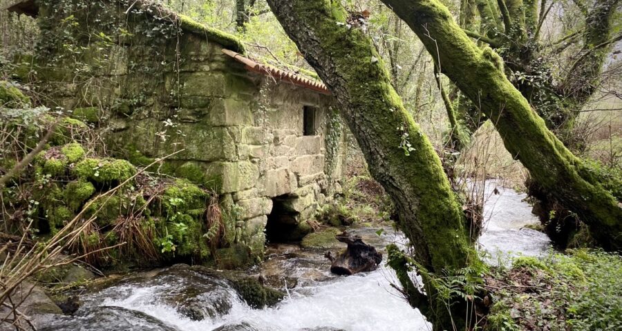 Ruta Da Pedra E Da Auga Guíate Galicia
