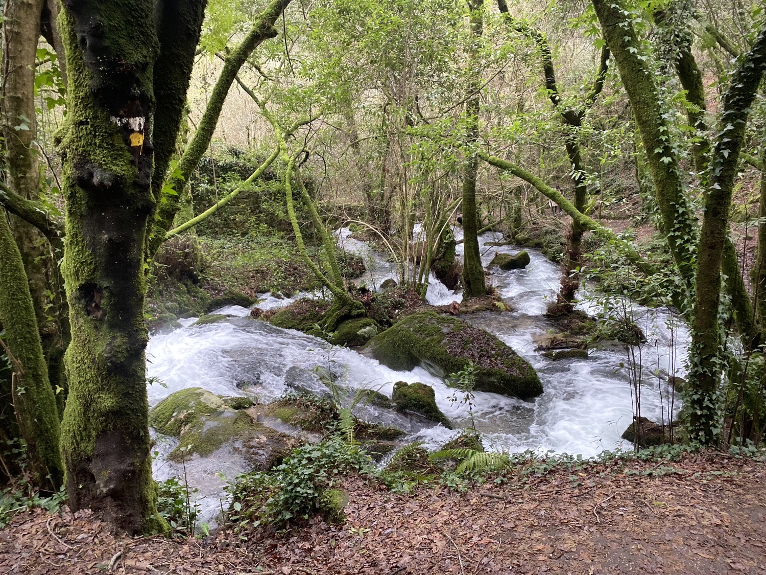 Ruta da Pedra e da Auga Guíate Galicia