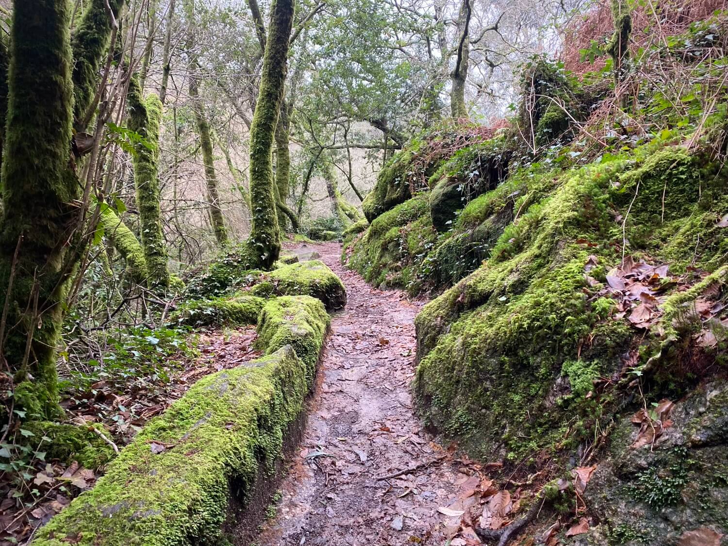 Ruta da Pedra e da Auga Guíate Galicia