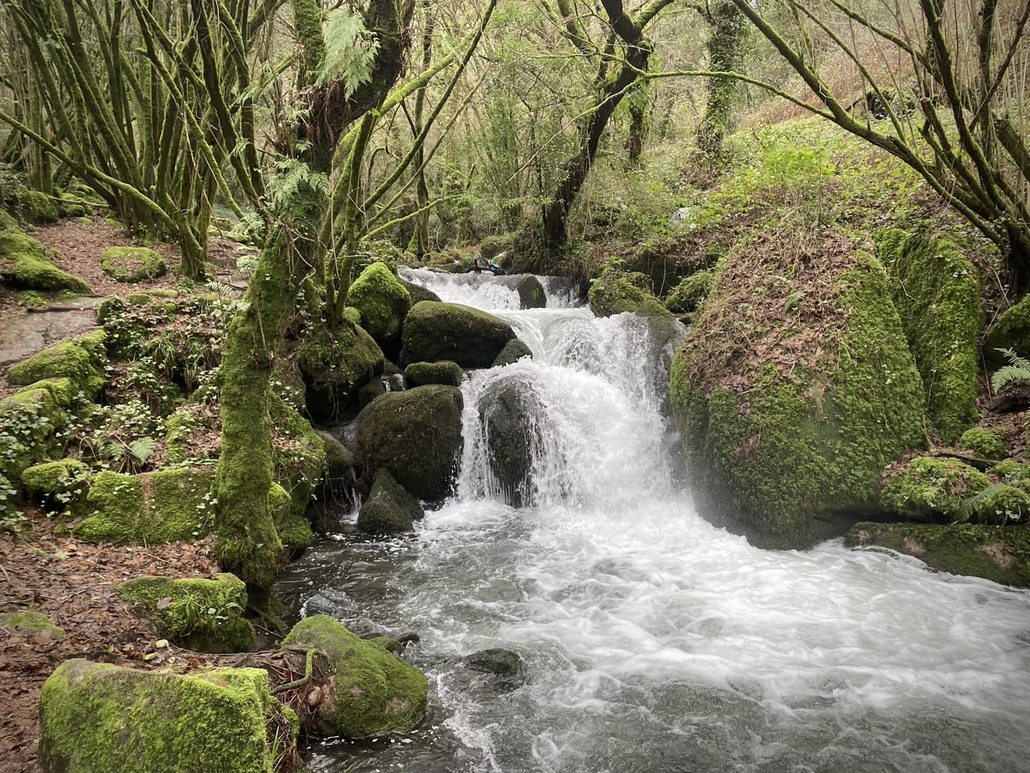 Ruta da Pedra e da Auga Guíate Galicia