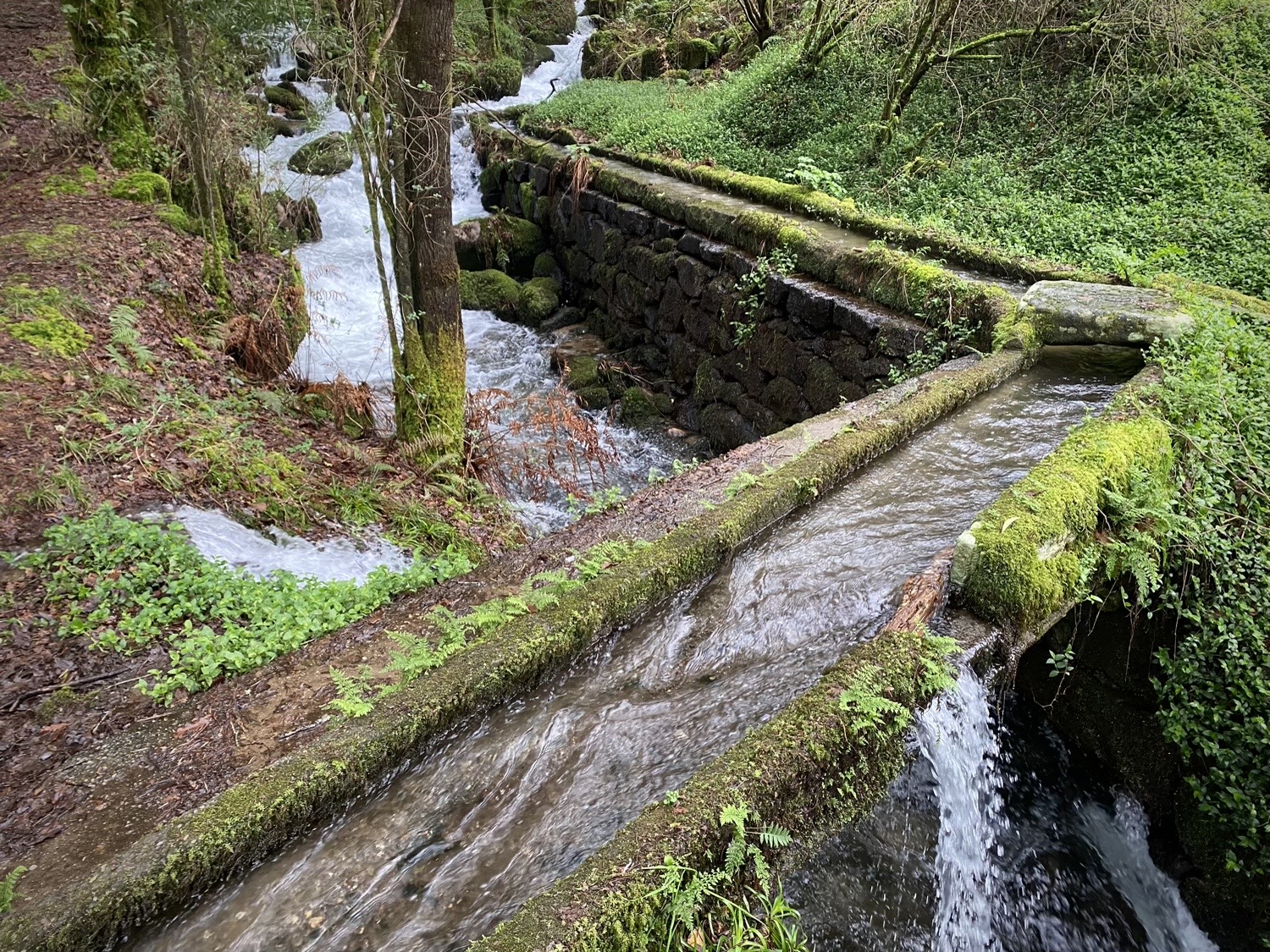 Ruta da Pedra e da Auga Guíate Galicia