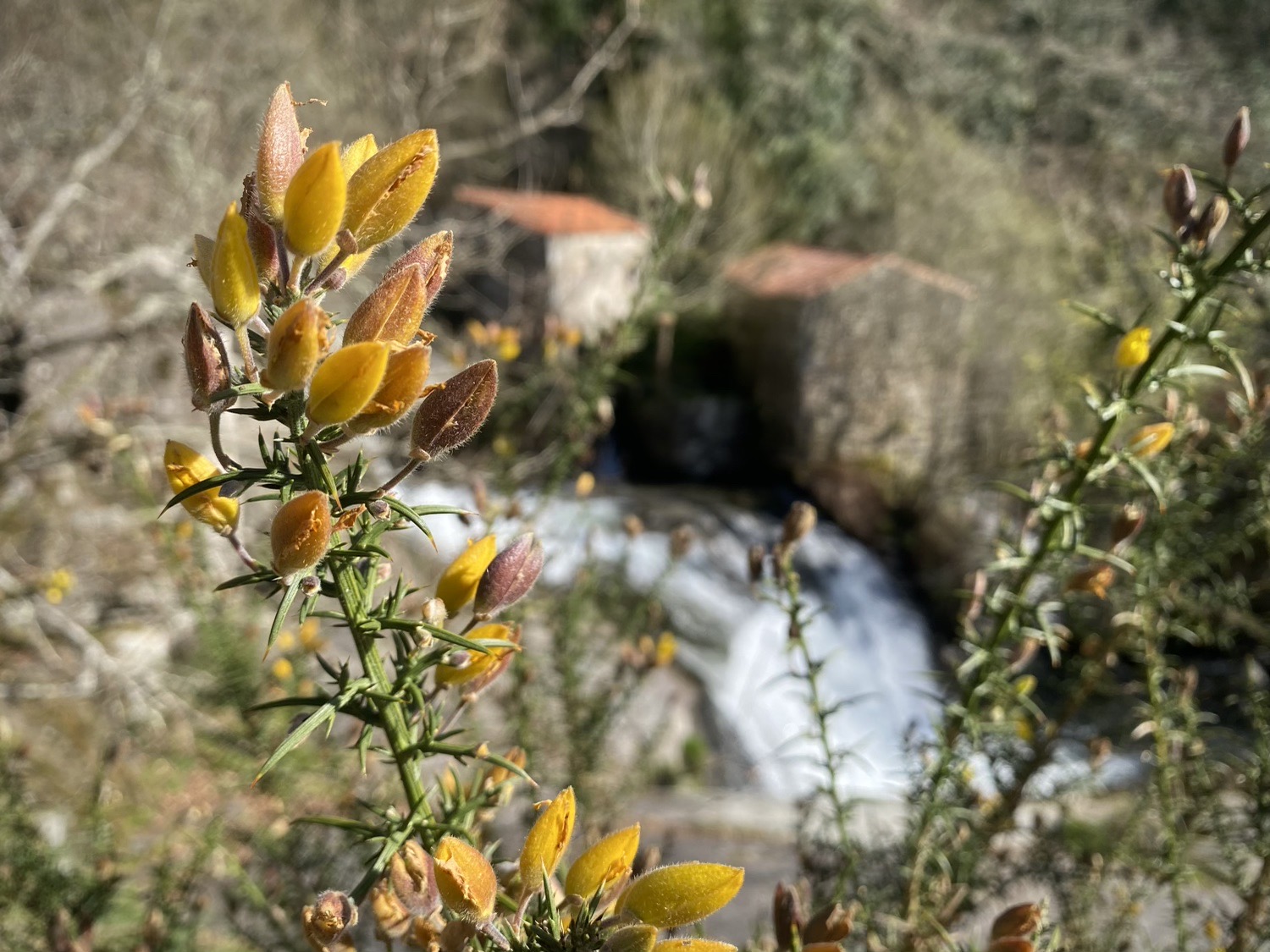 Parque Natural de Barosa Guíate Galicia