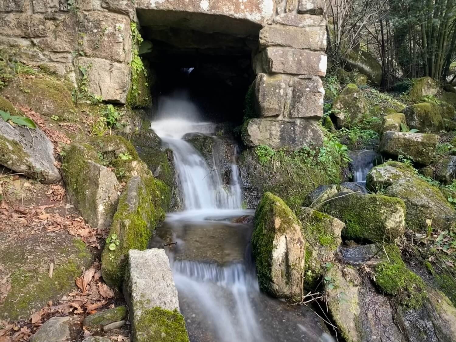 Parque Natural de Barosa Guíate Galicia