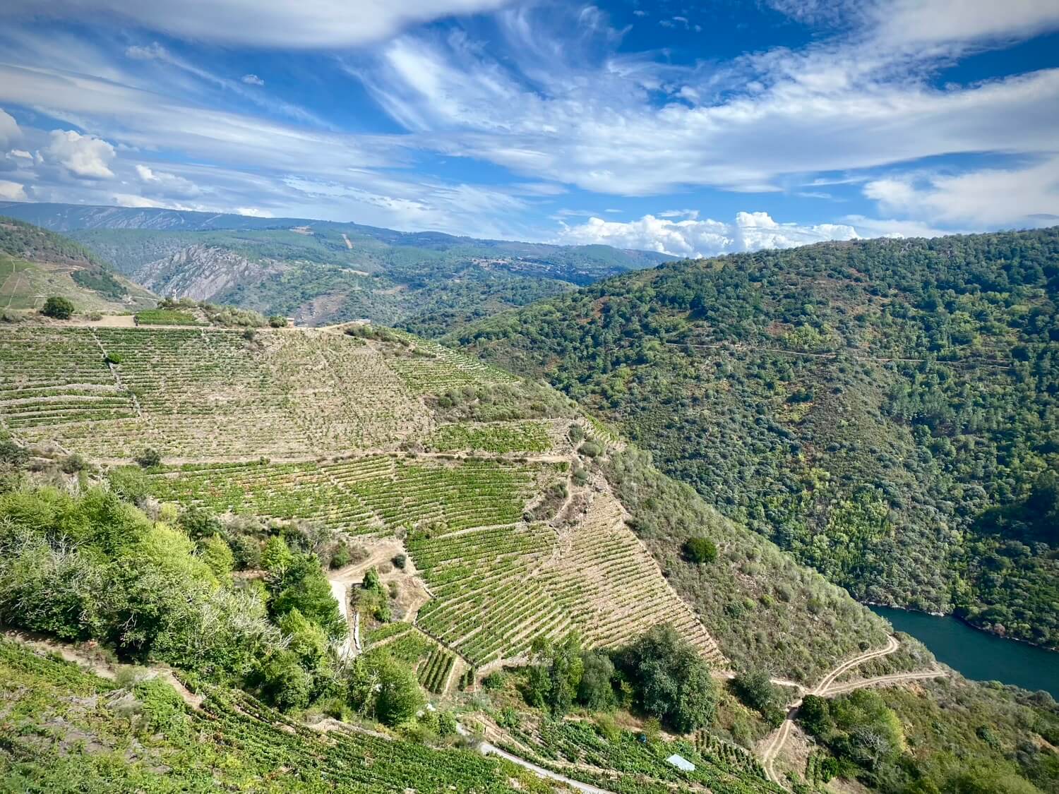 Tren Aba Sacra Ribeira Sacra Guíate Galicia