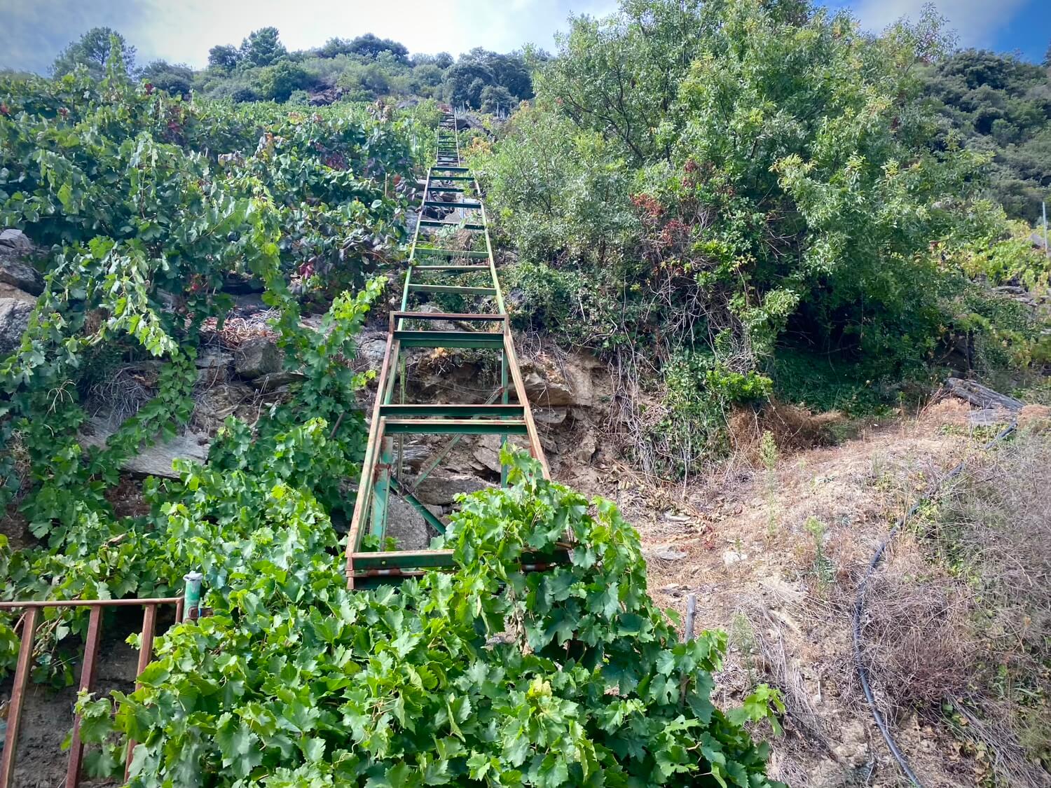 Tren Aba Sacra Ribeira Sacra Guíate Galicia